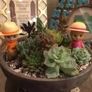 れーれーの画像