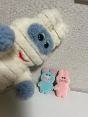chaninuの画像
