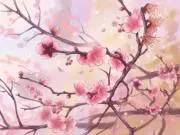 koami.の画像