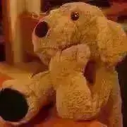 【匿名配送】サムの画像