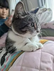 ちゃび☆