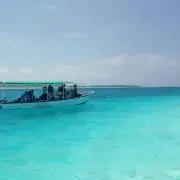 ひよりの画像