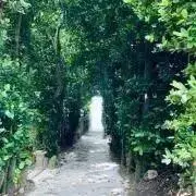 noboの画像