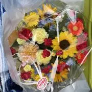 shib.♪の画像