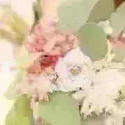 はる＊の画像