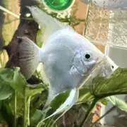 かいとの画像