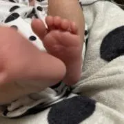しょの画像
