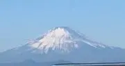 まんぷっくんの画像