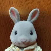 ゆか4の画像