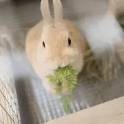 きりの画像