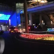 ケンチの画像