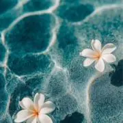mariaの画像