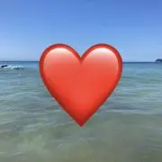 @わたあめの画像