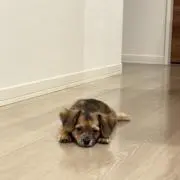 うーの画像