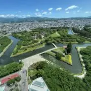 pi_の画像