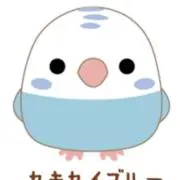 ことり隊の画像