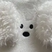 犬山の画像