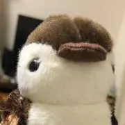 らいちょうの画像