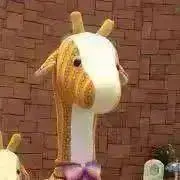 ✩ 媛っこ ✩の画像