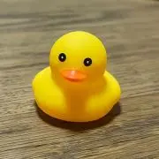 ぴよ吉の画像