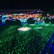ちーの画像