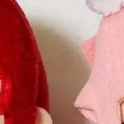 みんみんの画像