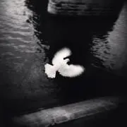 ioの画像