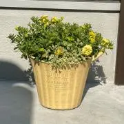 ますます