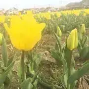 ._.の画像