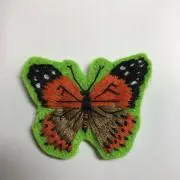 DHST31の画像