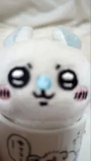 halcaの画像