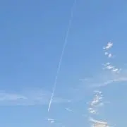 はな