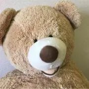 くまきち