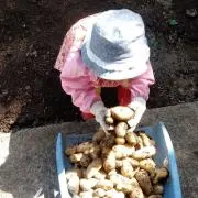 裕子の画像