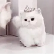 ♥