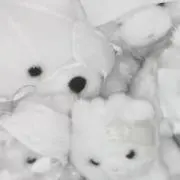 ひなのの画像