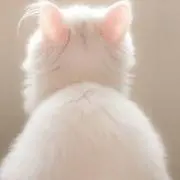 ya-chan
