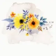 Ｎ.の画像