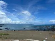 ガリの画像