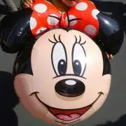 ぎんこの画像
