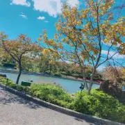 K✩