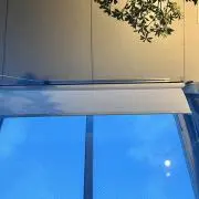 イカ明太の画像