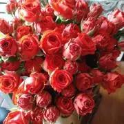 jmk♡受取り遅い方ご購入ご遠慮下さい。の画像
