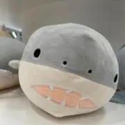 star100の画像