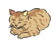 うみねこの画像