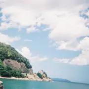 SAKUの画像