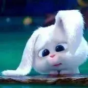 ももんがの画像