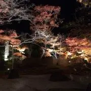 やす