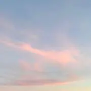 はなの画像