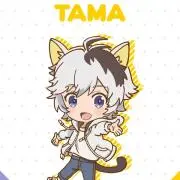 N Tama 動画撮影しております！の画像